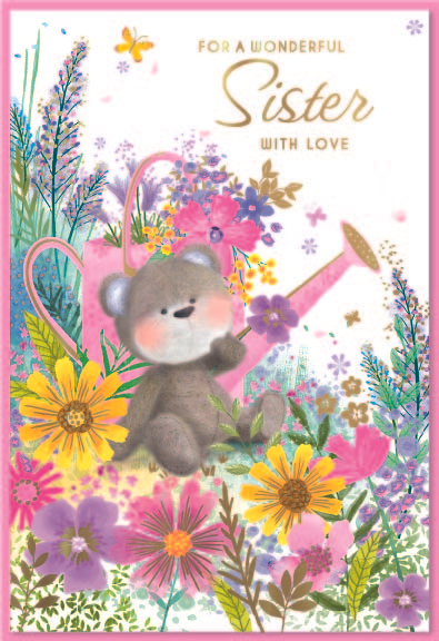 Simon Elvin 6 Pack Cards C50 Birthday Sister