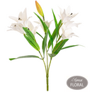 Eleganza White Lily Bush