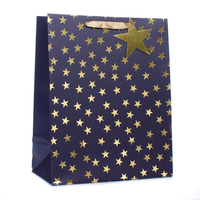 Tiger Feet 6 Pack Gift Bag Gold Stars Extra Large