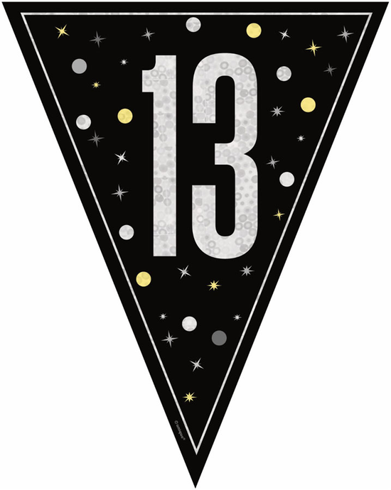 Unique Bunting Black Glitz Age 13 9ft