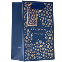 Partisan 6 Pack Gift Bag Christmas Star Small