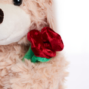 Tiger Feet Soft Toy Bear With Rose Cream 25cm