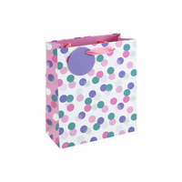 Eurowrap 6 Pack Gift Bag Female Spots Medium