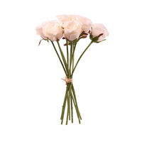 Cream Roses Bundle 9pc