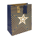 6pk Gift Bag Kraft Blue Stars Large Bag