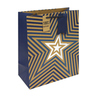 6pk Gift Bag Kraft Blue Stars Large Bag