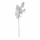 Jasmine Flower White