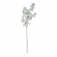 Jasmine Flower White