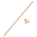 Paper Balloon Cups & Sticks 100pk