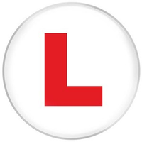 Oaktree Badge Hen Party L Plate Jumbo 6