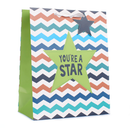 Tiger Feet Gift Bag You're A Star Bag X-Large 6pk