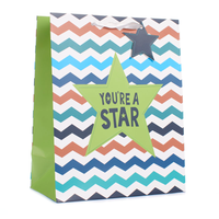 Tiger Feet Gift Bag You're A Star Bag X-Large 6pk