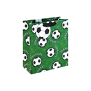 Eurowrap 6 Pack Gift Bag Footy Medium
