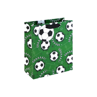 Eurowrap 6 Pack Gift Bag Footy Medium