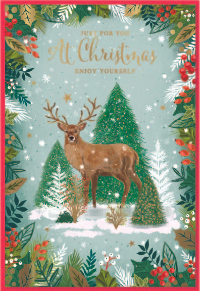 Simon Elvin 6 Pack Cards C50 Christmas Open