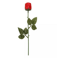 Widdop Chocolate Rose In Box 18g