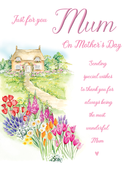 Regal 6 Pack Cards C75 Mother's Day Mum
