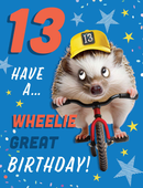 Regal 6 Pack Cards 8x6 Birthday Age 13