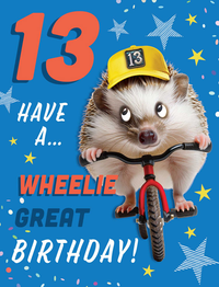 Regal 6 Pack Cards 8x6 Birthday Age 13