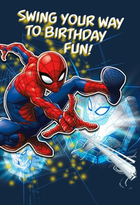 Hallmark 6 Pack Cards C32 Birthday Spider-Man