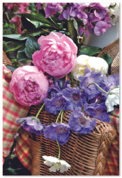 Simon Elvin C50 Birthday Assorted 12x6pk