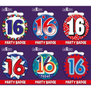 Giftzone Small Badges Age 16 Male