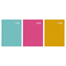 Diary A5 WTV Bright Casebound 2027 10pk