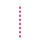 5ft Hanging D cor Age 16 Glitz Pink
