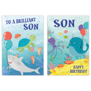 Poppyhill C50 Birthday Son 12pk