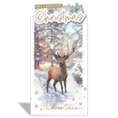 Prelude C55 Christmas Open 6pk