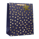 Tiger Feet 6 Pack Gift Bag Gold Stars Large