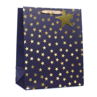 Tiger Feet 6 Pack Gift Bag Gold Stars Large