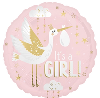 Anagram Special Delivery Girl 18" Foil Balloon