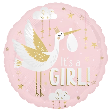 Anagram Special Delivery Girl 18" Foil Balloon