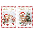 Poppyhill C50 Christmas All Of You 12pk