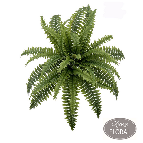Eleganza 18" Boston Fern