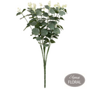 Eleganza Eucalyptus Bush