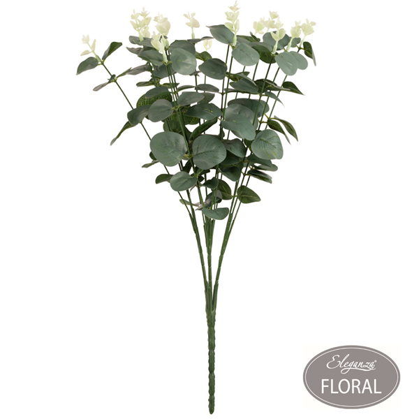 Eleganza Eucalyptus Bush