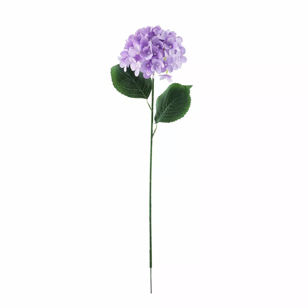 Hydrangea Lavender