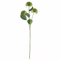 Viburnum Spray Green