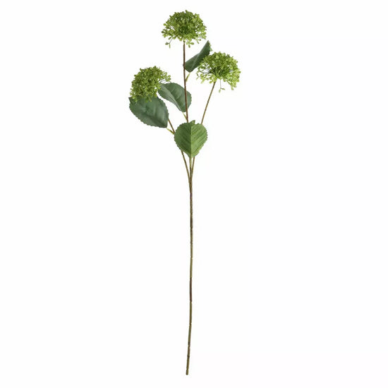 Viburnum Spray Green