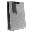 6pk Giftbags Double Bottle Silver