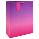 Eurowrap 6 Pack Gift Bag Pink Ombre Extra Large