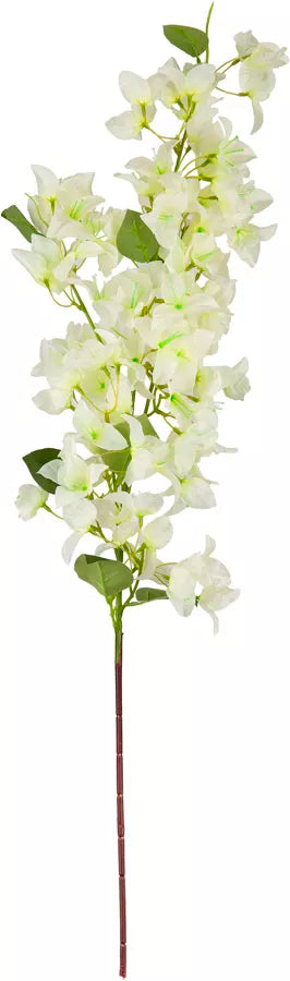 Eleganza Bougainvillea Spray White