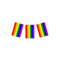24 Flag Bunting 7m Pride Rainbow
