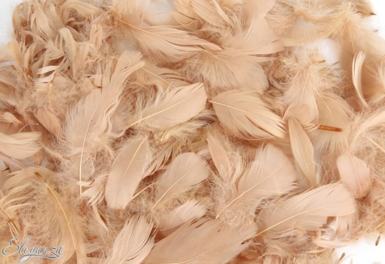 Eleganza Natural Mixed Feathers 50g