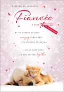 Regal C90 Valentine's Day Fianc e 6pk