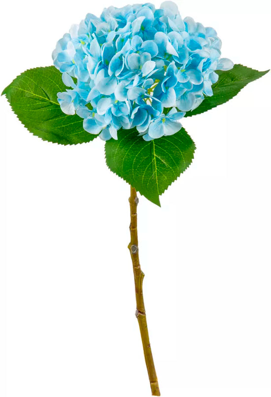 Eleganza Small Head Hydrangea Light Blue