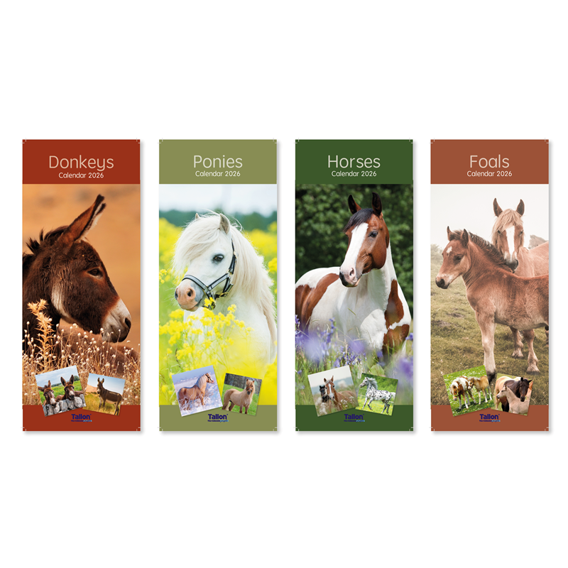 Tallon Tallon 24 Pack Calendar featuring horse and donkey illustrations, slim design, ideal for organization and decoration.