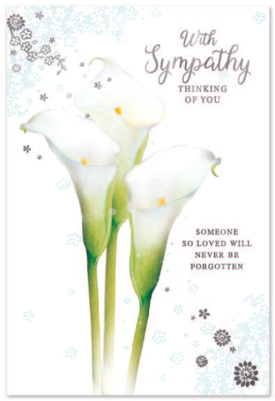 Simon Elvin C50 Sympathy Assortment 12x6pk